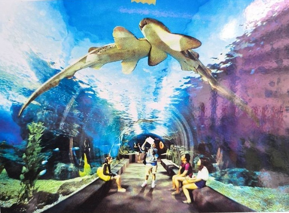 อุโมงค์ปลาสถานที่ท่องเที่ยว under water